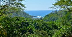 Ocean View