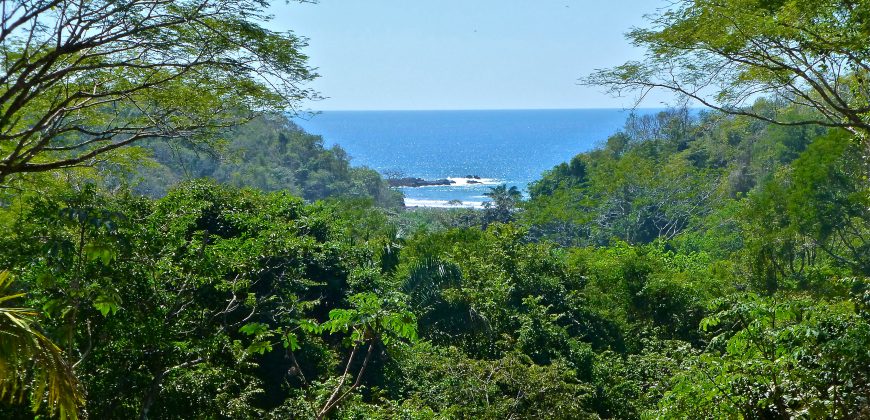 Ocean View
