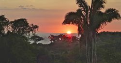 Spectacular Ocean View lot
