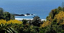 Spectacular Ocean View lot