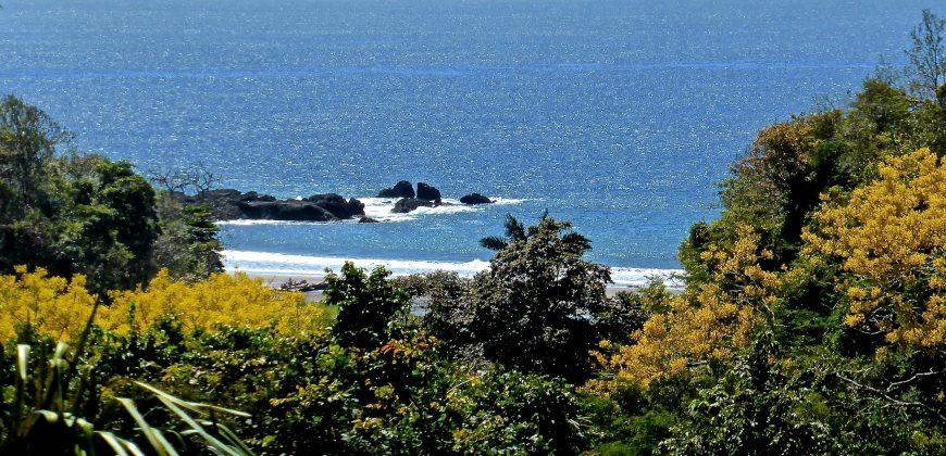 Spectacular Ocean View lot