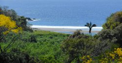 Spectacular Ocean View lot