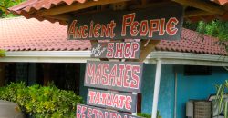 Operating restaurant/internet café