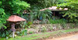 Operating restaurant/internet café