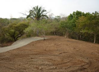 Ocean & Nature Reserve View
