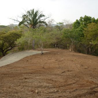 Ocean & Nature Reserve View
