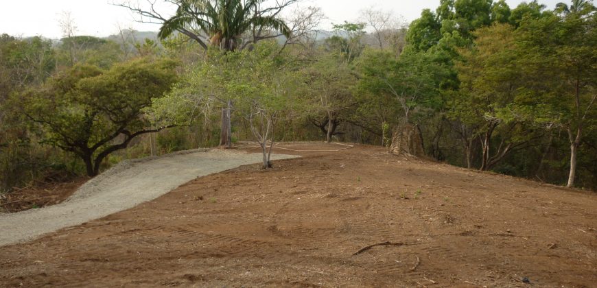 Ocean & Nature Reserve View