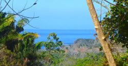 Ocean & Nature Reserve View