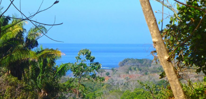 Ocean & Nature Reserve View