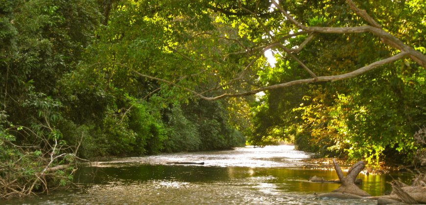 Rio Rosario Nature Estate