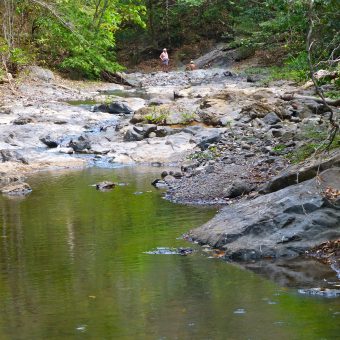 Rio Rosario Nature Estate
