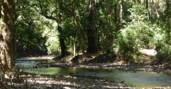 Rio Rosario Nature Estate
