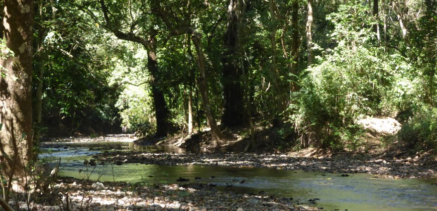 Rio Rosario Nature Estate