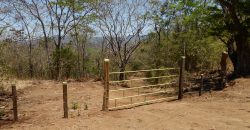 Nature-Peace-Privacy