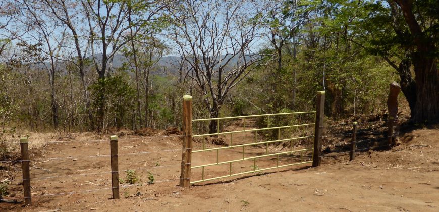Nature-Peace-Privacy
