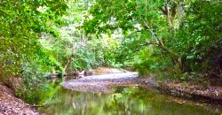 Nature-Peace-Privacy