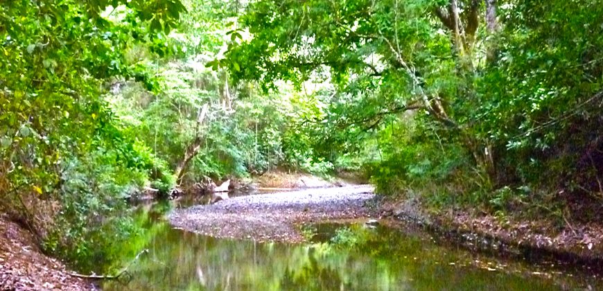 Nature-Peace-Privacy