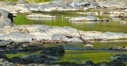 Nature-Peace-Privacy