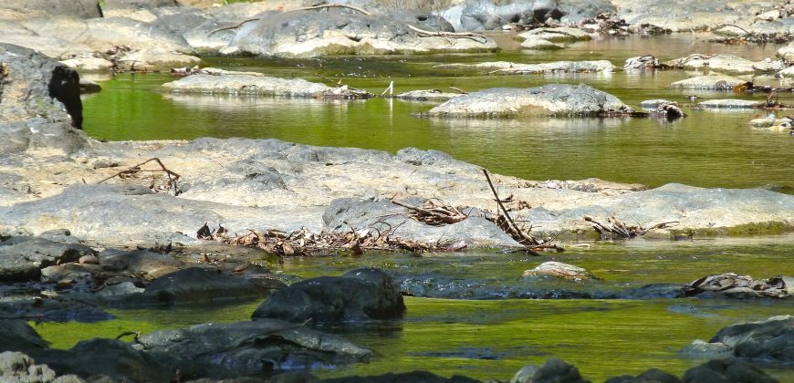 Nature-Peace-Privacy