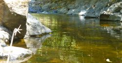 Nature-Peace-Privacy