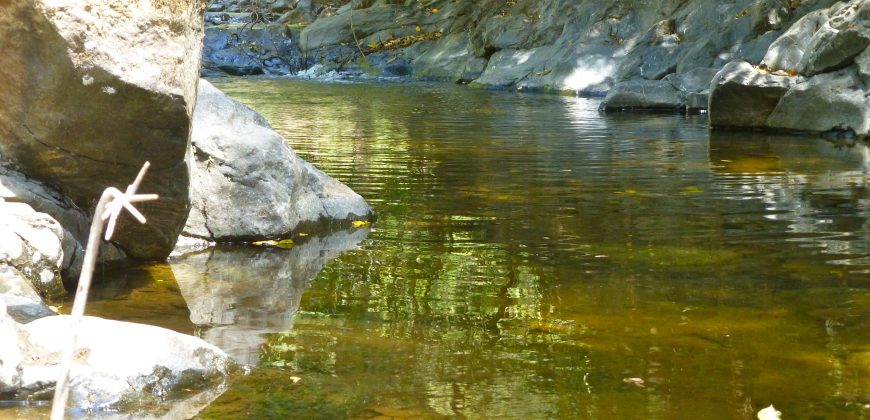 Nature-Peace-Privacy