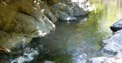 Nature-Peace-Privacy