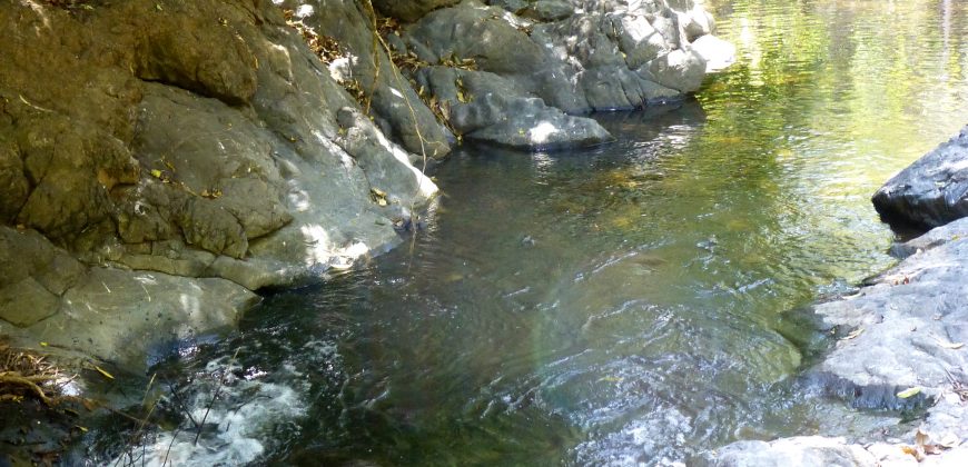 Nature-Peace-Privacy