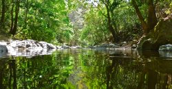 Nature-Peace-Privacy