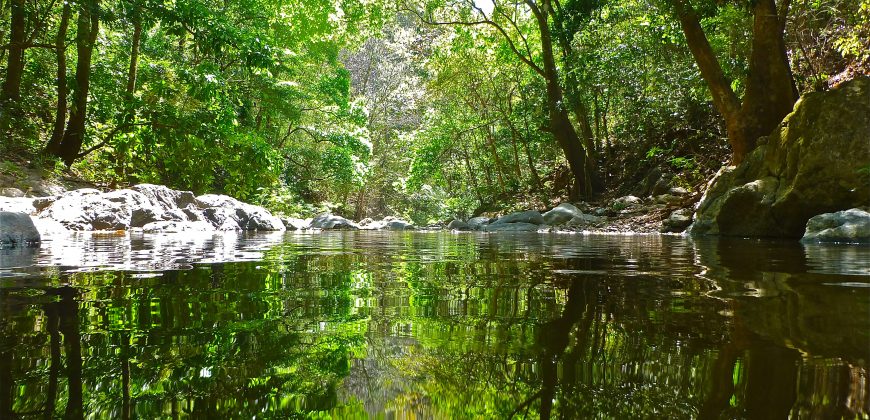 Nature-Peace-Privacy