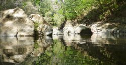 Nature-Peace-Privacy
