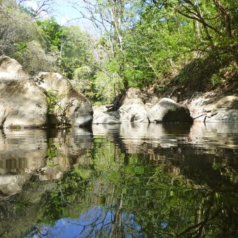 Nature-Peace-Privacy