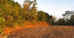 Panorama Ocean View Property