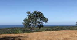 Panorama Ocean View Property