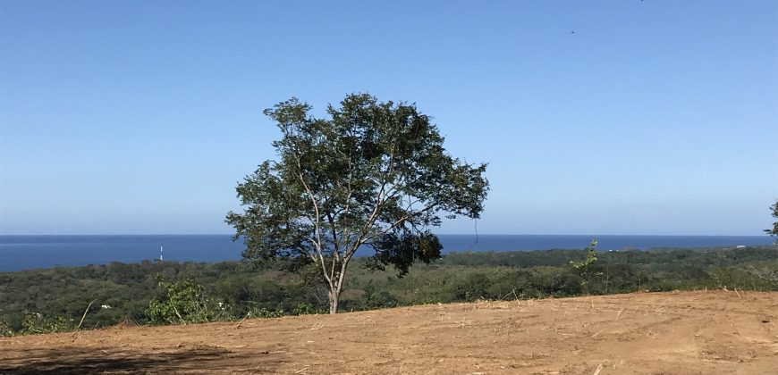 Panorama Ocean View Property