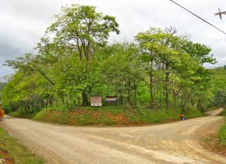 Coastal Crossroad Commercial Lot