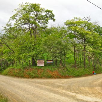 Coastal Crossroad Commercial Lot