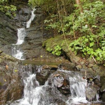 Spacious hilltop, forest & creek