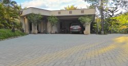Luxury Residence
